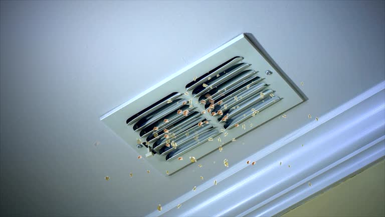 Best Affordable Duct Cleaning Services  in Pocatello, ID