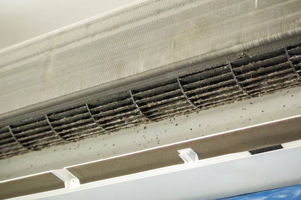 Best Residential Air Duct Cleaning  in Pocatello, ID